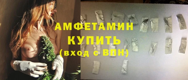 дживик Гусь-Хрустальный