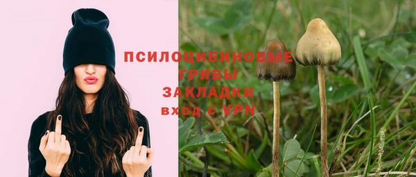 кокс Гусев