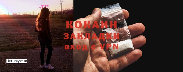 кокс Гусев