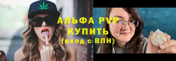 дживик Гусь-Хрустальный